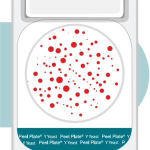 hygiene-index-000007