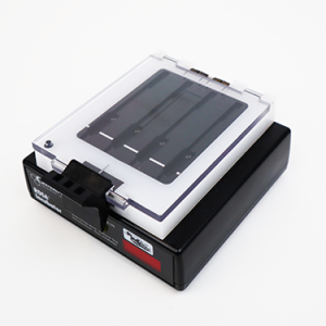 rosa-myco2-000002