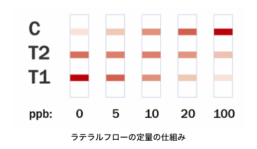 ラテラルフローの定量の仕組み